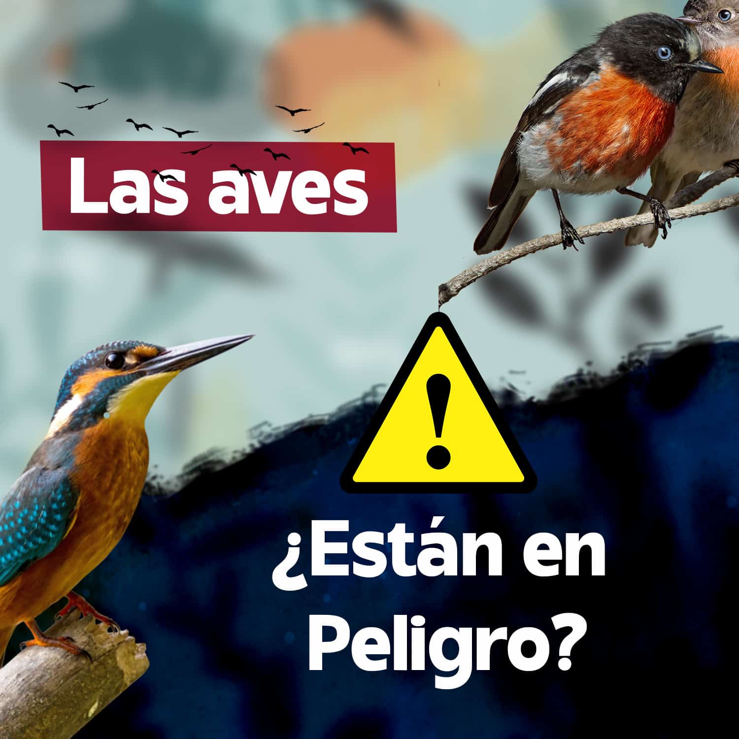 ¿Las aves están en peligro?