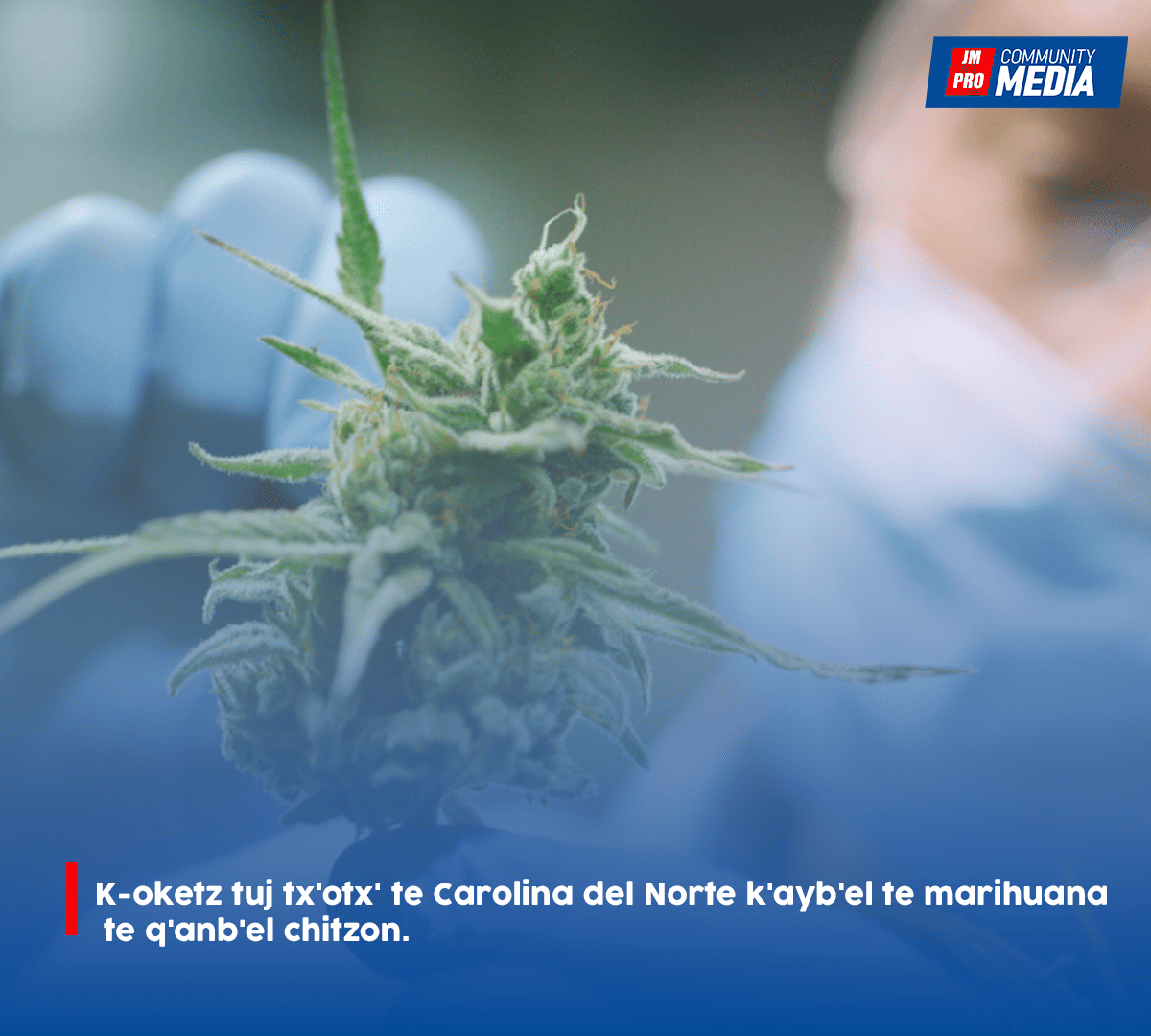 K-oketz tuj tx’otx’ te Carolina del Norte k’ayb’el te marihuana te q’anb’el chitzon.
