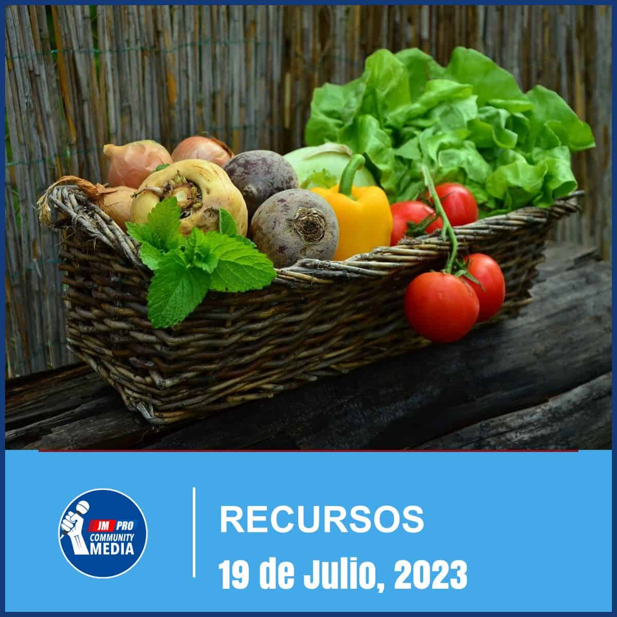 Recursos Locales Julio 19